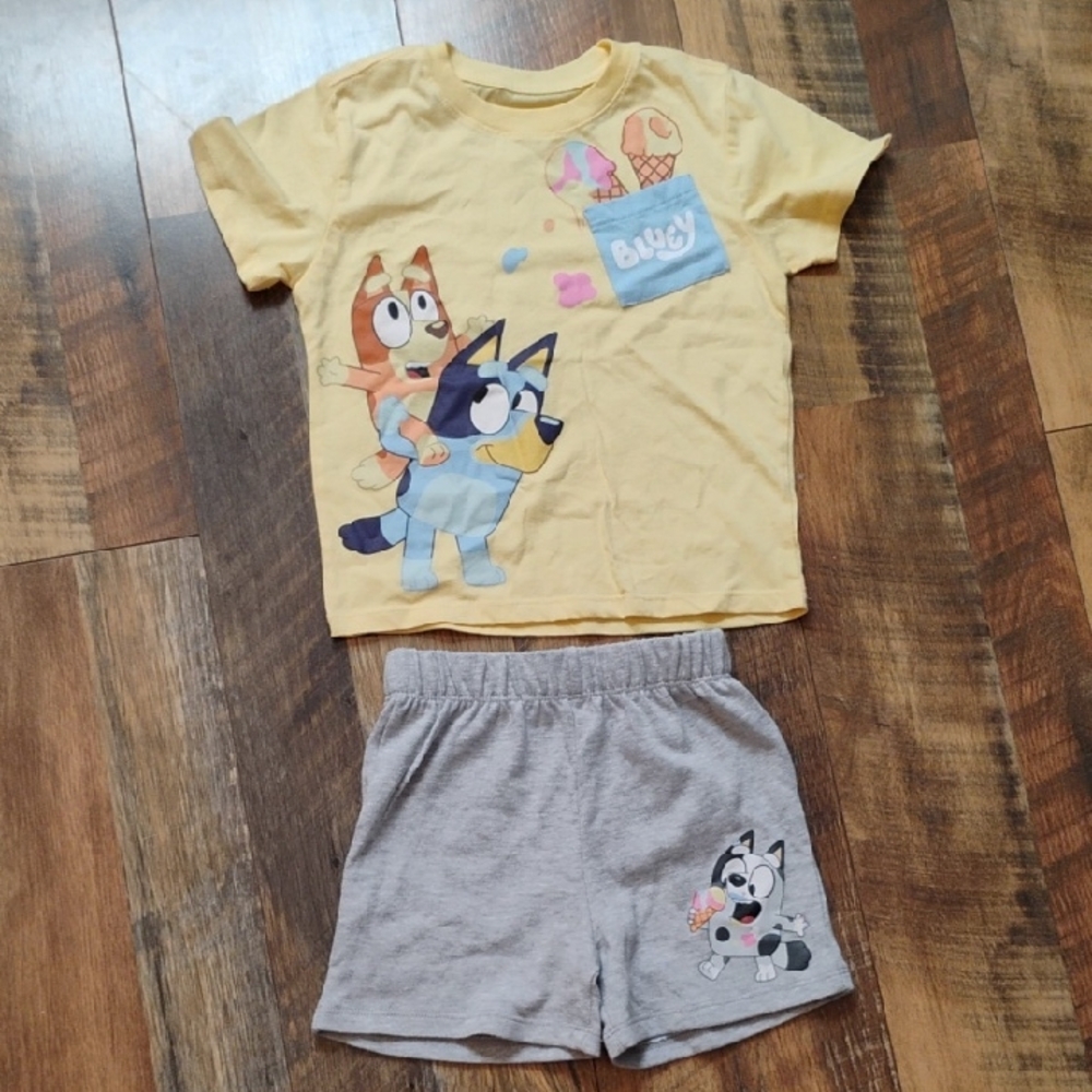 Bluey 3t Girls Short Set
